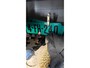 Hyundai Tucson 2.0 CRDi Style|AUT|LEDER|STOELVERW|CRUISE|AIRCO