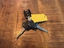 Subaru Justy 1.0i Airco-Elek.ramen-Elek.spiegels