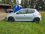 Peugeot 206 1.4 One-line | Nieuwe APK | NAP