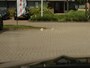Mercedes-Benz C-klasse Estate 200 AMG Line | Panoramadak | Memory | Elektrische Stuurkolom | 360 Camera | Burmester Audio | Head Up Display |