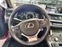 Lexus CT 200h Business Line, Schuif/kanteldak!