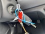 Kia Niro Hybrid 1.6 GDi DynamicLine Nieuw geleverd & Dealeronderhouden, Navigatie, Achteruitrijcamera, Cruise control, Climate control