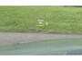 Mercedes-Benz C-klasse Estate 350 e HUD/ Vol leder/ Burmester/ Camera/ Keyless/ NAP/ Dealer onderh.