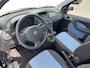 Fiat Panda 1.2 Edizione Cool NL-AUTO | AIRCO | LAGE STAND