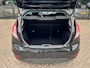 Ford Fiesta 1.0 EcoBoost Titanium*Navigatie*