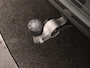 Volvo XC60 T6 PLUG-IN HYBRID PLUS DARK 20INCH 360GR CAM SCHUIFDAK H/K AUDIO