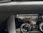 Skoda Kodiaq 1.5 TSI Business Edition NL-AUTO | PANODAK | TREKHAAK | 150 PK