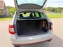 Skoda Octavia Combi 2.0 TSI RS 230 / Panoramadak / RS Schaalstoelen / Apple CarPlay-Android Auto / Stoelverwarming / Navi / Cruise