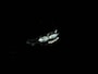 Volkswagen Passat Variant 1.5 TSI 150PK ELEGANCE DSG | Stoelverwarming | Camera | Carplay