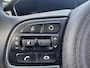 Kia Niro EV E-Niro DynamicPlusLine FASE 3 SOH 100% PANO