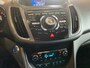 Ford Grand C-Max GRAND C-MAX 1.0ECOBOOST 125 PK 6 N  7 PERSOONS  NIEUWSTAAT