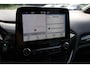 Ford Fiesta 1.0 EcoBoost ST-Line 95DKM,WINTERPAKKET, STOEL, VOORRUIT, STUURVERWARMING