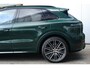 Porsche Cayenne 3.0 E-Hybrid Platinum Edition / Sport Chrono / PASM / Sportuitlaat