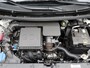 Kia Picanto 1.0 GDi DynamicLine | LM Velgen | Camera | Cruise Control | Navigatie | Parkeer Sensoren achter | Airco | Demo |