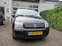 Fiat Panda 1.2 Edizione Cool automaat
