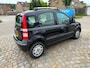 Fiat Panda 1.2 Active