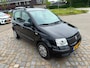 Fiat Panda 1.2 Active