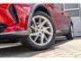 CUPRA Formentor 1.4 e-Hybrid 204pk DSG Business | SoH 95% | Trekhaak | Navigatie | Stoelverwarming | Memory Stoel | Elektrische Achterklep