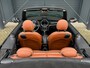 MINI Cooper Cabrio 1.5 Chili Serious Business, Leder, Harman Kardon, Keyless, Led