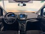 Ford C-Max 1.0 Trend Cruise Control, Apple Carplay, Parkeersensoren, Navigatie, Trekhaak, NAP, 2e Eigenaar, Airco, Nieuwe DB-Riem