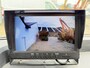 Renault Master Plancher T35 2.3 dCi 150pk Luchtvering Airco Cruise Control Plancher Foodtruck Meubelbak Paardenwagen