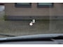 Nissan Qashqai 1.3 MHEV Xtronic Tekna 158PK | Panoramadak | Head-up Display | 360 Camera