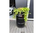 Ford C-Max 1.0 Titanium
