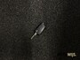 Volkswagen Golf 1.2 TSI Comfortline | NAVI | STOELVW | PDC |