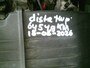 Ford Ka 1.2 Cool&Sound Nwe Distr Riem & Apk Airco Stuurbekr Nap!