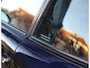 Porsche 911 3.6 Carrera 4 | Org. NL - Dealer odh. - Collectable