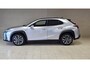 Lexus UX 250h F-Sport-Design Navi Camera Winterpakket Géén Afleverkosten