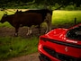 Ferrari 296 GTS 3.0 V6 | Lift | Carbon Racing Seats | Pass. display | Veel alcantara