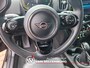 MINI Countryman 1.5 Cooper S E ALL4 Chili Leder Clima Camera Stoelverwarming