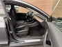Tesla Model 3 Standard RWD Plus 60 kWh Panodak / Leer / Adapt. Cruise