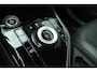 Kia Niro EV DynamicLine 64.8 kWh Navi Camera Carplay Adaptief