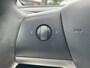 Tesla Model 3 RWD Plus 60 kWh LFP Leer Pano