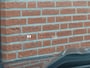 Dodge Ram 1500 5.7 V8 LIMITED PANO/Luchtvering/LED/Elek steps