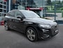 Audi Q5 50 TFSIe QUATTRO ADVANCED BLACK-OPTIK LEDER/CAMERA/TREKHAAK/STOELVERW/