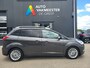 Ford Grand C-Max 1.0 Ecoboost 125 pk Titanium Adap.Cruise Camera nieuwe distr.