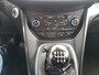 Ford Grand C-Max 1.0 Ecoboost 125 pk Titanium Adap.Cruise Camera nieuwe distr.