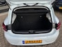 Renault Clio 1.0 TCe Zen 2020 WIT NAVI CLIMA CRUISE APK NAP!