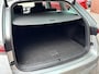 Skoda Octavia Combi 1.0 TSI Business Edition NIEUW MODEL | Clima | Cruise control | LM Velgen | Ndl auto | Nav