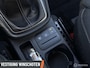 Ford Puma 1.0 EcoBoost Hybrid Titanium | PDC Achter | Afn. Trekhaak | LM Velgen | Airco | LED | Navi