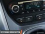 Ford Grand C-Max 1.0 Edition Plus | Clima | Cruise | LM Velgen | Voorruitverwarming | Trekhaak | Privacy Gl
