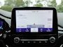 Ford Puma 1.0 EcoBoost Hybrid 125PK ST-Line AUTOM. PANO | WINTERPACK | BLIS | CAMERA