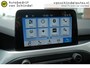 Ford Focus Wagon 1.0 ECOBOOST 101PK BUSINESS EDITION ORIGINEEL NEDERLANDS ELECTR.TREKHAAK ANDROID-APPLECARPLAY NAVI ECC AIRCO CRUISECONTROL PARKEERSENSOREN V+A LMV KEYLESS 4X ELECTR.RAMEN/SPIEGELS ENZ...