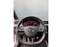 Skoda Octavia Combi 2.0 TSI RS 245PK Aut. Canton LED Sfeer