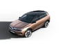 Opel Grandland GS - PHEV | 20'' lichtmetalen wielen diamond cut | 7,4 kW boordlader | Draadloze telefoonlader (Inductie)