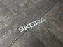 Skoda Karoq 1.5 TSI ACT Business Edition Plus | Pano | Lederen bekleding | Stoelverwarming |