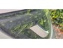 Ford Focus Wagon 1.0 EcoBoost Hybrid Active X Cam|Cruise|Stoel en stuurverwarming